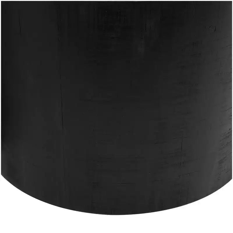Wood Handmade Colorblock Wrapped Accent Table with Dried Plant Tabletops Black